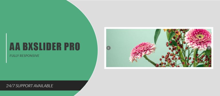AA BxSlider Pro - AA Extensions