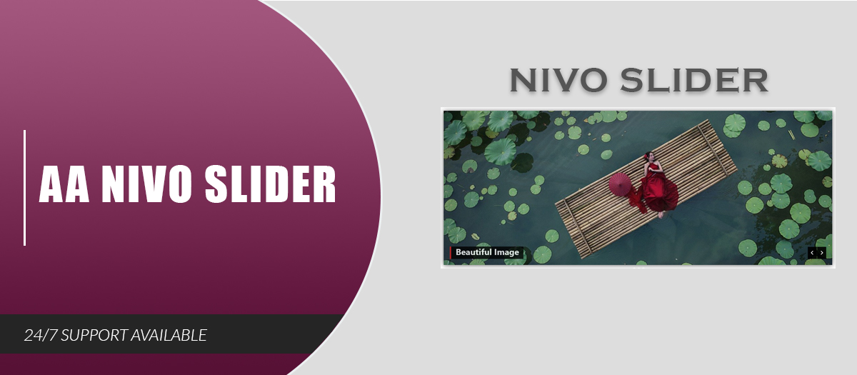 AA Nivo Slider
